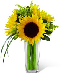 The FTD Sunshine Daydream Bouquet from Pennycrest Floral in Archbold, OH